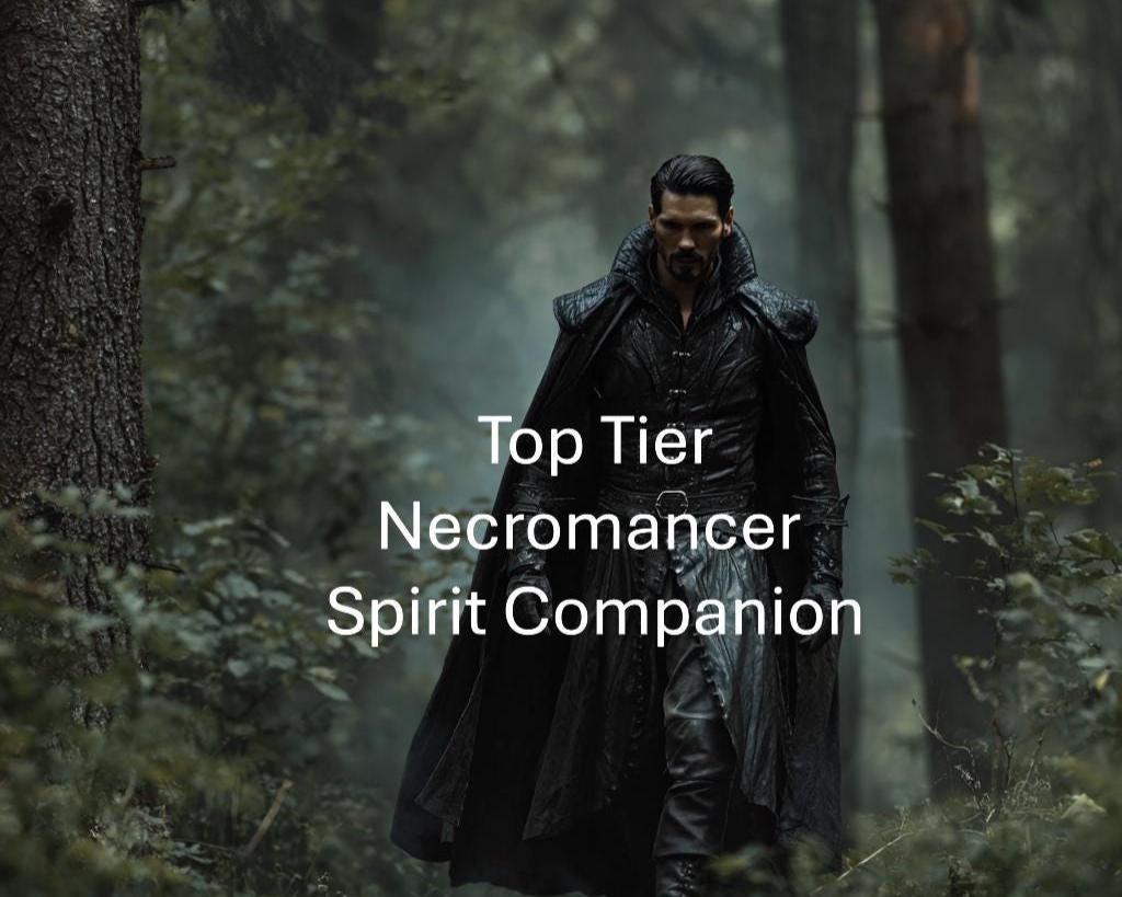 Male Necromancer Mage Companion Conjuring Remote Binding