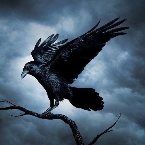 Black Raven Spirit Companion. Conjuring. Remote Binding