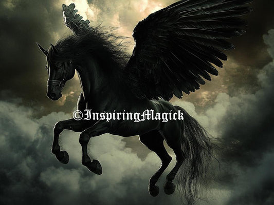 Dark Pegasus Spirit Guide: Custom Conjuring, Remote Binding