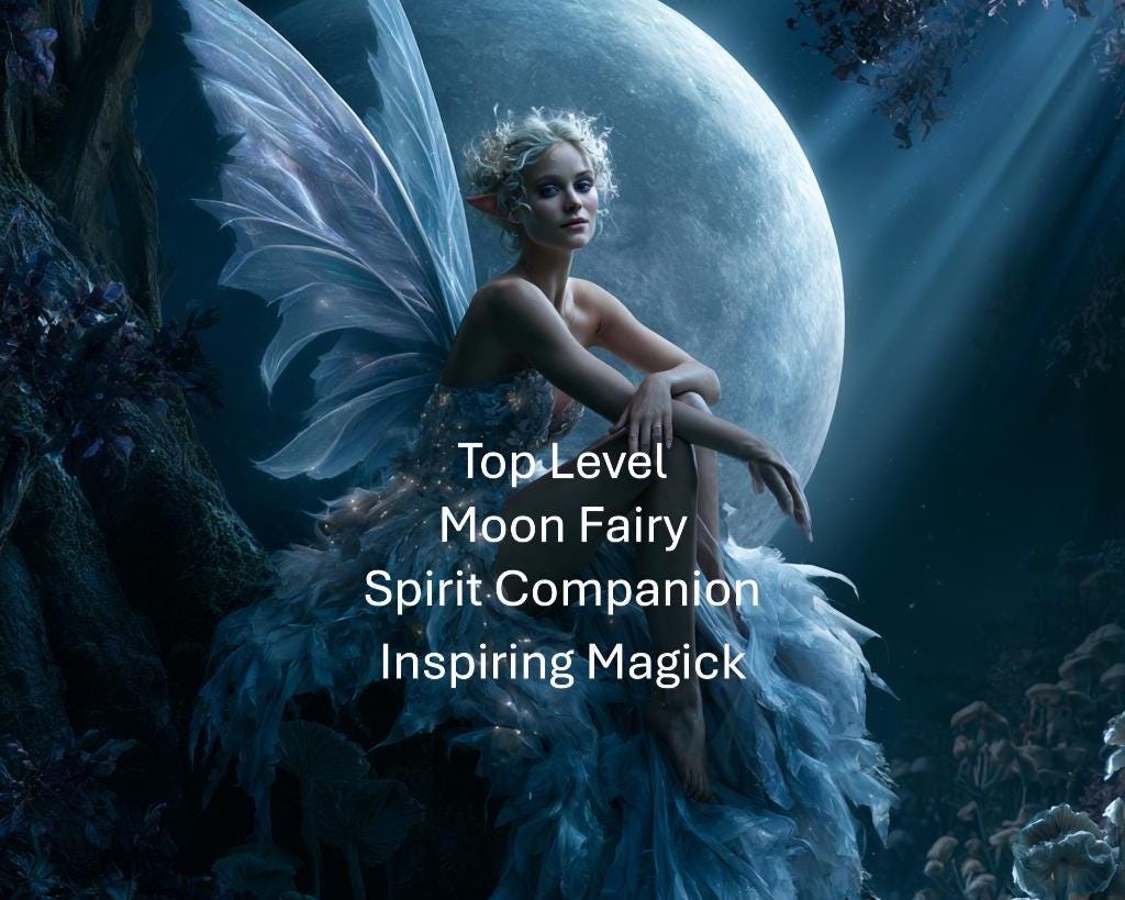 Lunar Fairy Spirit Companion, Moon Magick, Shadow Magick, Remote Binding