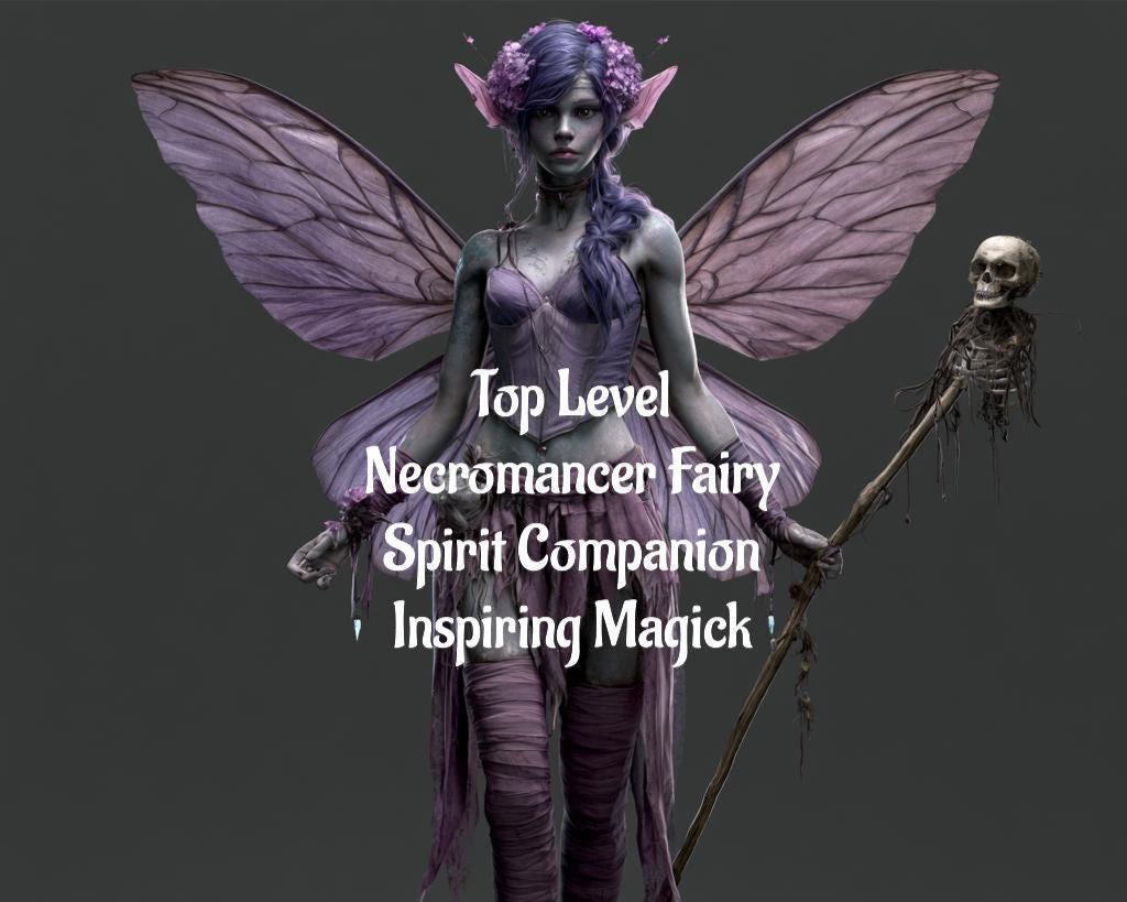 Necromancer Fairy Spirit Companion Remote Binding