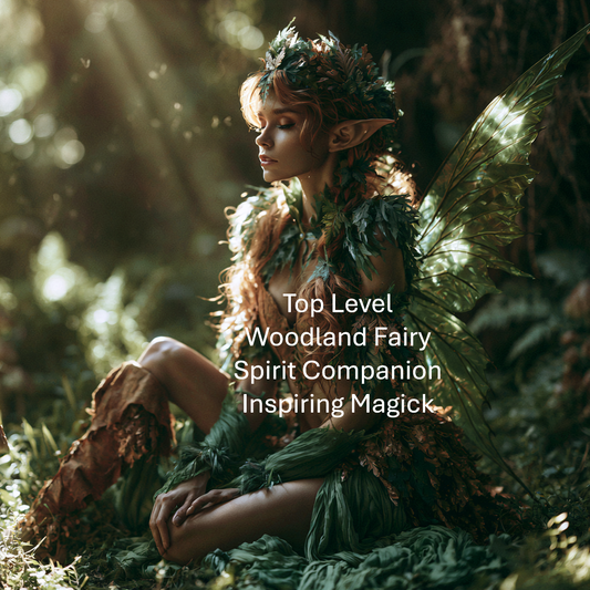 Woodland Fairy Spirit Companion Remote Binding Digital Service